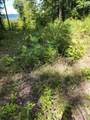 14.34ac Tomahawk Rd - Photo 53