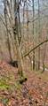 1551 Star Point Rd - Photo 20