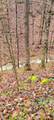 1551 Star Point Rd - Photo 21