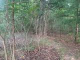 00 Jaguar Trail - Photo 5