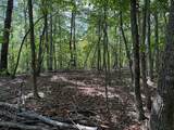 18.19 Ac Spence Ln - Photo 43