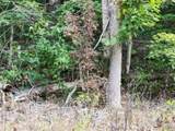 Lot 20 Apache Rd - Photo 2