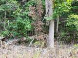 Lot 20 Apache Rd - Photo 3