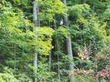 Lot 20 Apache Rd - Photo 4