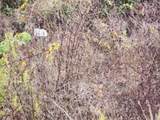 Lot 20 Apache Rd - Photo 5