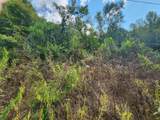 Lot 20 Apache Rd - Photo 6