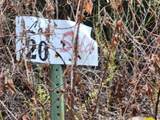 Lot 20 Apache Rd - Photo 7