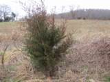 3.94ac Anderson Rd - Photo 22
