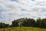 3.94ac Anderson Rd - Photo 6