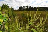 3.94ac Anderson Rd - Photo 9