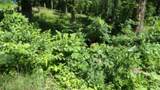 Lot 7E Rock Fish Lane - Photo 34
