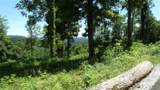 Lot 7E Rock Fish Lane - Photo 35