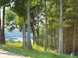 41B Bald Eagle Rd - Photo 1