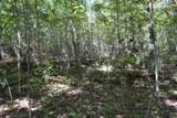Lot 1 Aarow Trail - Photo 13
