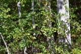 Lot 1 Aarow Trail - Photo 26
