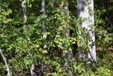 Lot 1 Aarow Trail - Photo 27