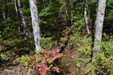 Lot 1 Aarow Trail - Photo 29