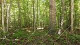 Lot 72 Camp Creek Rd - Photo 2