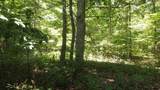 Lot 72 Camp Creek Rd - Photo 4