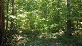 Lot 72 Camp Creek Rd - Photo 5