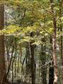 Lot 19 Shoreside Dr - Photo 5