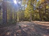 18.6 Acres Cave Branch Rd. - Photo 1