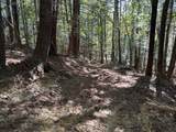 18.6 Acres Cave Branch Rd. - Photo 11