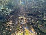 18.6 Acres Cave Branch Rd. - Photo 12