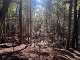 18.6 Acres Cave Branch Rd. - Photo 13