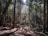 18.6 Acres Cave Branch Rd. - Photo 14