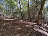 18.6 Acres Cave Branch Rd. - Photo 15