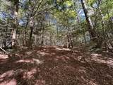 18.6 Acres Cave Branch Rd. - Photo 16