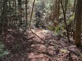 18.6 Acres Cave Branch Rd. - Photo 17