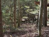 18.6 Acres Cave Branch Rd. - Photo 18