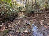 18.6 Acres Cave Branch Rd. - Photo 19