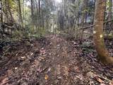 18.6 Acres Cave Branch Rd. - Photo 20