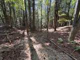 18.6 Acres Cave Branch Rd. - Photo 21