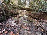 18.6 Acres Cave Branch Rd. - Photo 4