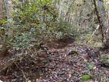 18.6 Acres Cave Branch Rd. - Photo 5