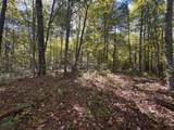 18.6 Acres Cave Branch Rd. - Photo 6