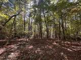 18.6 Acres Cave Branch Rd. - Photo 7