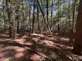 18.6 Acres Cave Branch Rd. - Photo 8