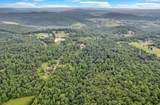 Tract 1 Wildcat Cove Road - Photo 1