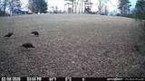 1090 Old Sunbright Road - Photo 30
