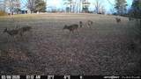 1090 Old Sunbright Road - Photo 31