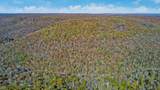 295 Big Piney Loop - Photo 19