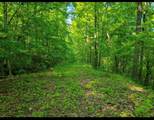 lot 43 Shetland Trace - Photo 8