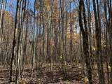 Lot 321 Hilltop Lane - Photo 12