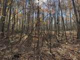 Lot 321 Hilltop Lane - Photo 20