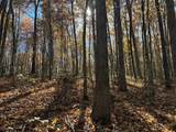 Lot 321 Hilltop Lane - Photo 23